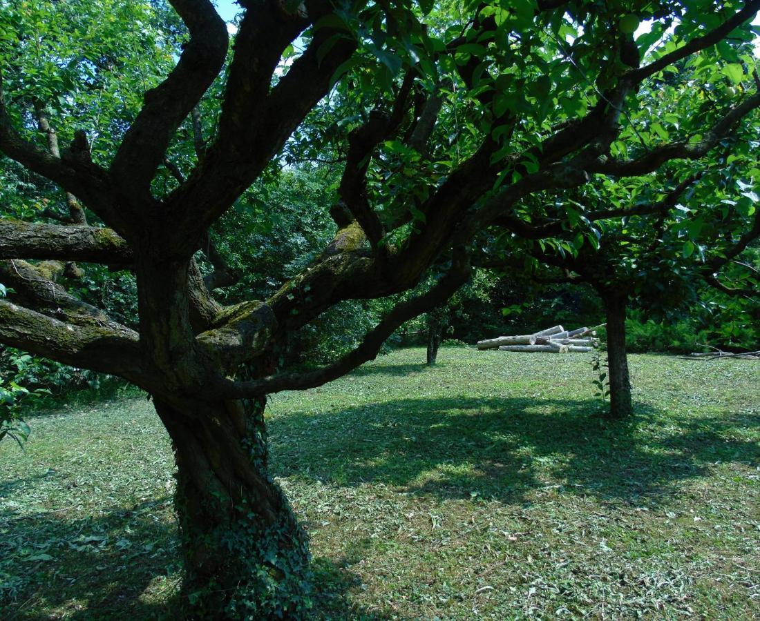 Cascina Cavalli Astino Villa Bergamo Bagian luar foto